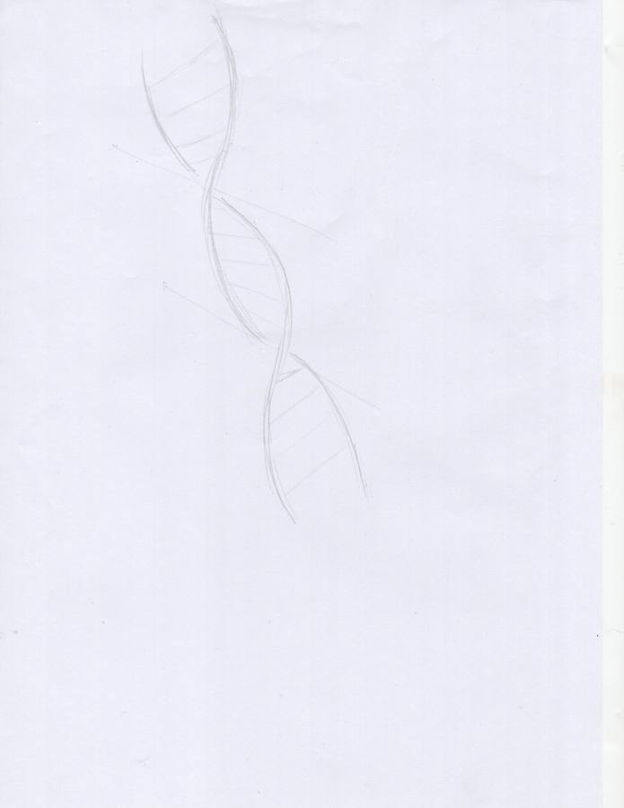 Disegno del DNA
